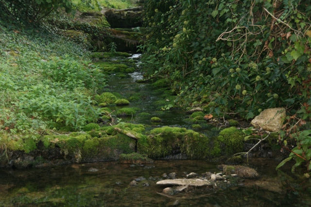 Environs 03