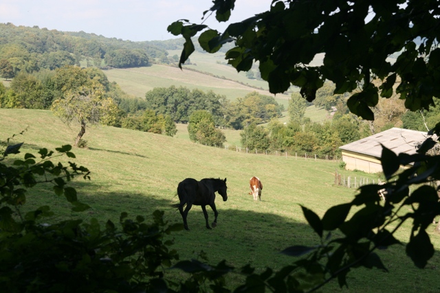 Environs 04
