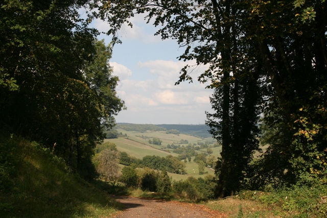 Environs 05