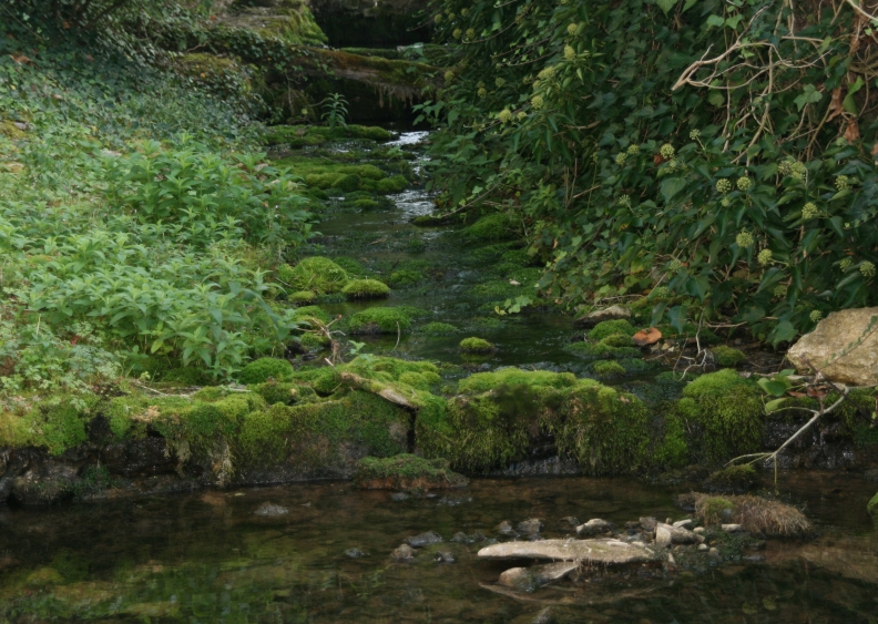 Les environs